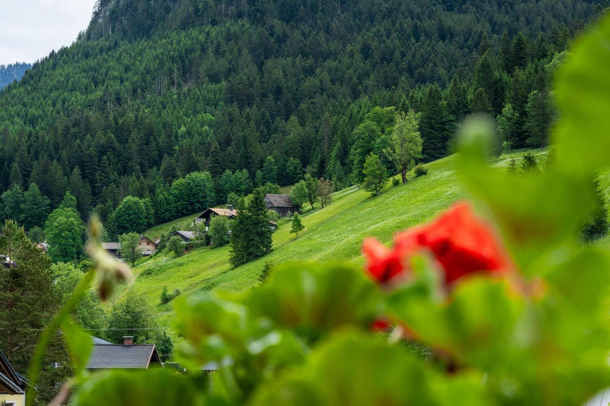 Haus Friedrich Hotel Gosau Exterior photo